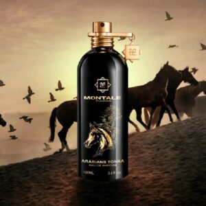 MONTALE ARABIANS TONKA